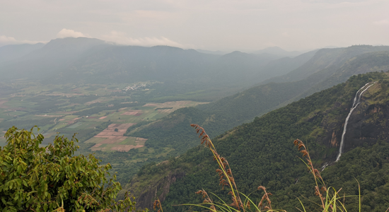 spice plantation in thekkady