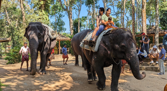 periyar national park thekkady