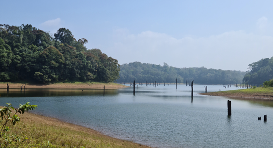 periyar tiger trail thekkady