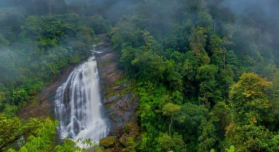 periyar wildlife santuary thekkady